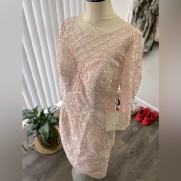 🩷LanTing Sz 6-8 Pink Dress Lace NWT🩷 Measurements Included! - Picture 1 of 16